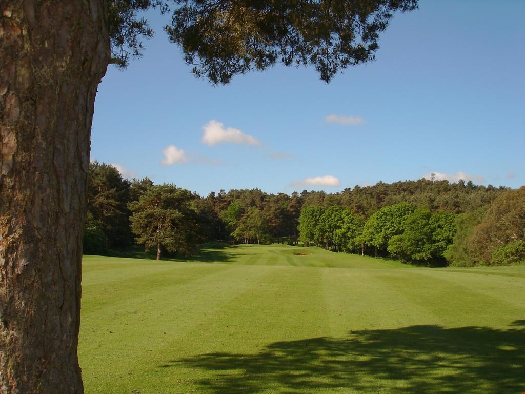 Old Thorns Manor Hotel