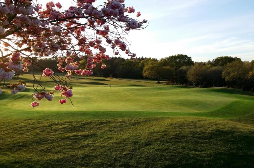 Dorset Country Club